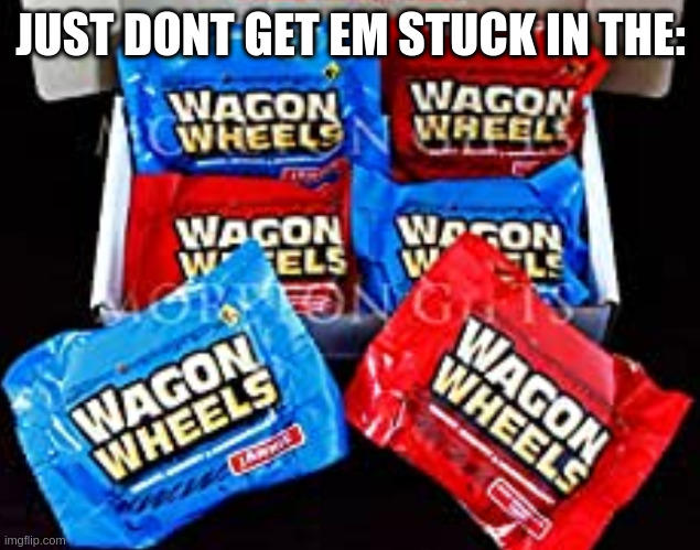 JUST DONT GET EM STUCK IN THE: | made w/ Imgflip meme maker