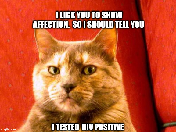 Suspicious Cat | I LICK YOU TO SHOW AFFECTION.  SO I SHOULD TELL YOU; I TESTED  HIV POSITIVE | image tagged in memes,suspicious cat | made w/ Imgflip meme maker