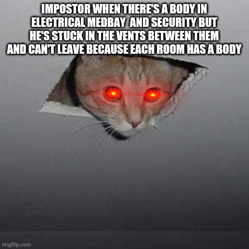 I wrote too much text. | IMPOSTOR WHEN THERE'S A BODY IN ELECTRICAL MEDBAY  AND SECURITY BUT HE'S STUCK IN THE VENTS BETWEEN THEM AND CAN'T LEAVE BECAUSE EACH ROOM HAS A BODY | image tagged in memes,ceiling cat | made w/ Imgflip meme maker