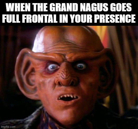 Blind Ferengi | WHEN THE GRAND NAGUS GOES FULL FRONTAL IN YOUR PRESENCE | image tagged in quark surprised | made w/ Imgflip meme maker
