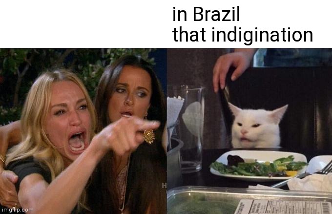 Uma mulher brava com o gato | he in the united states biting a plate; in Brazil that indigination | image tagged in memes,woman yelling at cat | made w/ Imgflip meme maker