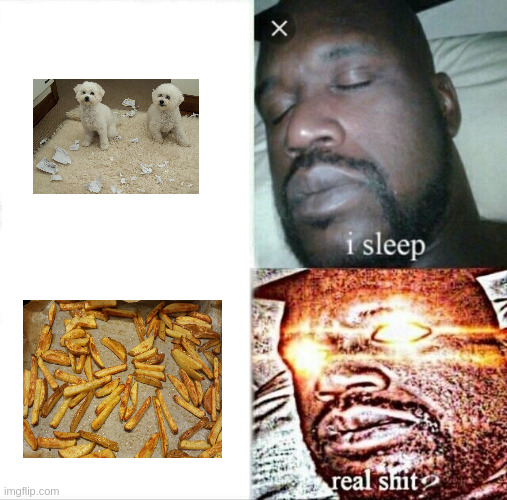 Sleeping Shaq Meme | image tagged in memes,sleeping shaq | made w/ Imgflip meme maker