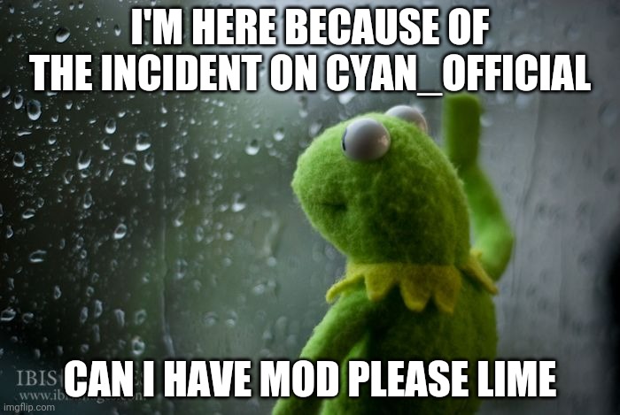:( | I'M HERE BECAUSE OF THE INCIDENT ON CYAN_OFFICIAL; CAN I HAVE MOD PLEASE LIME | image tagged in kermit window,sad | made w/ Imgflip meme maker