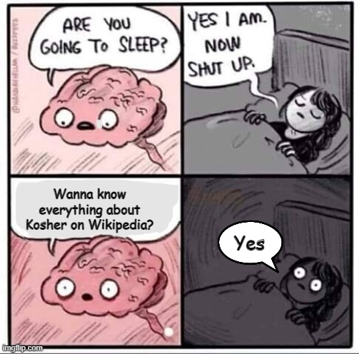 Are you going to sleep? | Wanna know everything about Kosher on Wikipedia? Yes | image tagged in are you going to sleep | made w/ Imgflip meme maker