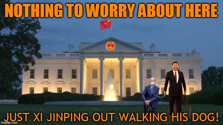 NOTHING TO WORRY ABOUT HERE; JUST XI JINPING OUT WALKING HIS DOG! | made w/ Imgflip meme maker