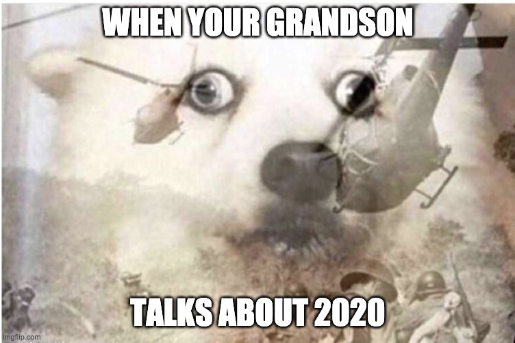 Vietnam dog | WHEN YOUR GRANDSON; TALKS ABOUT 2020 | image tagged in vietnam dog,2020 | made w/ Imgflip meme maker