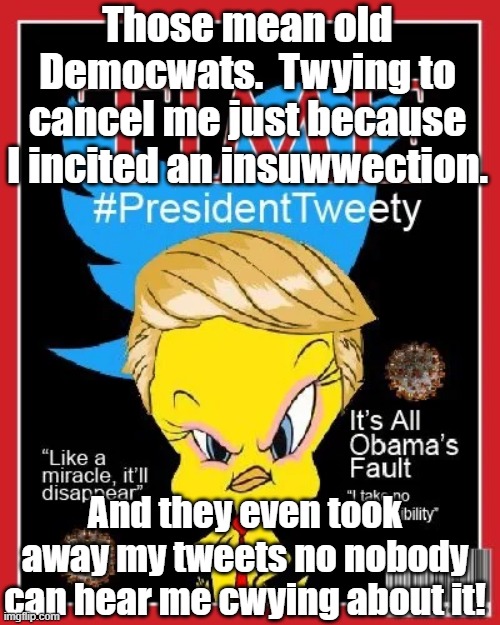 President Tweety and the Insurrection | Those mean old Democwats.  Twying to cancel me just because I incited an insuwwection. And they even took away my tweets no nobody can hear me cwying about it! | image tagged in tweety bird,president trump,donald trump approves,insurrection,donald trump is an idiot | made w/ Imgflip meme maker