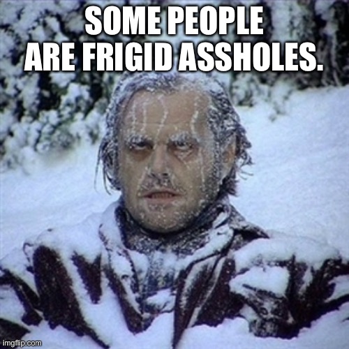 Frozen Guy | SOME PEOPLE ARE FRIGID ASSHOLES. | image tagged in frozen guy | made w/ Imgflip meme maker