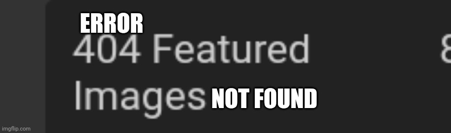 Lol idk | ERROR; NOT FOUND | image tagged in lol,idk | made w/ Imgflip meme maker