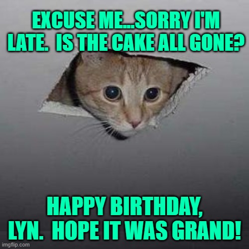 Ceiling Cat | EXCUSE ME...SORRY I'M LATE.  IS THE CAKE ALL GONE? HAPPY BIRTHDAY, LYN.  HOPE IT WAS GRAND! | image tagged in memes,ceiling cat | made w/ Imgflip meme maker