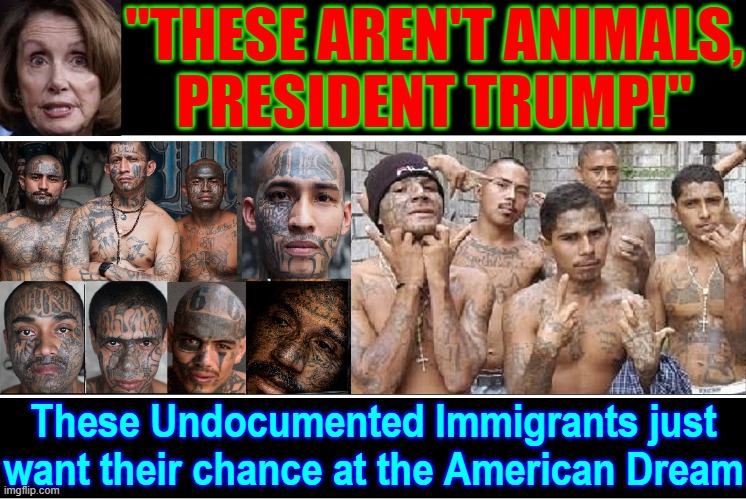Let's Open our Arms & Hearts w/ Health Ins &  Welfare Checks | "THESE AREN'T ANIMALS,
PRESIDENT TRUMP!"; These Undocumented Immigrants just
want their chance at the American Dream | image tagged in vince vance,ms-13,memes,illegal immigrants,mexican gang members,open borders | made w/ Imgflip meme maker