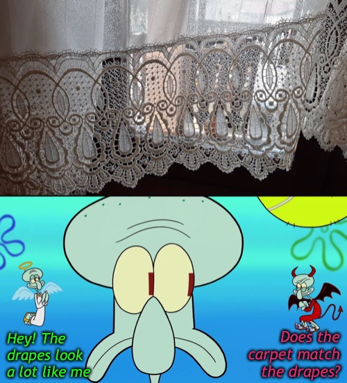Squidward! | Does the carpet match
the drapes? Hey! The drapes look a lot like me | image tagged in funny memes,squidward | made w/ Imgflip meme maker