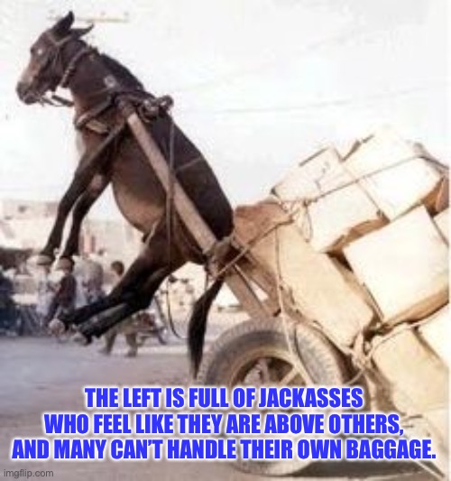 Leftists are beyond unhinged | THE LEFT IS FULL OF JACKASSES WHO FEEL LIKE THEY ARE ABOVE OTHERS, AND MANY CAN’T HANDLE THEIR OWN BAGGAGE. | image tagged in overloaded donkey,memes,jackass,left,democrats,crazy | made w/ Imgflip meme maker