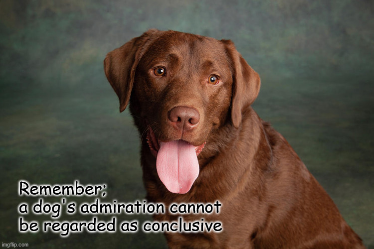 earning a dog's admiration | Remember;
a dog's admiration cannot
be regarded as conclusive | image tagged in funny dogs | made w/ Imgflip meme maker