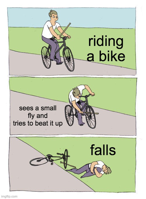 Bike Fall Meme | riding a bike; sees a small fly and tries to beat it up; falls | image tagged in memes,bike fall | made w/ Imgflip meme maker