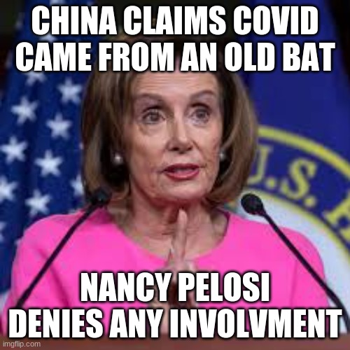 covid meme | CHINA CLAIMS COVID CAME FROM AN OLD BAT; NANCY PELOSI DENIES ANY INVOLVMENT | image tagged in nancy polosie | made w/ Imgflip meme maker