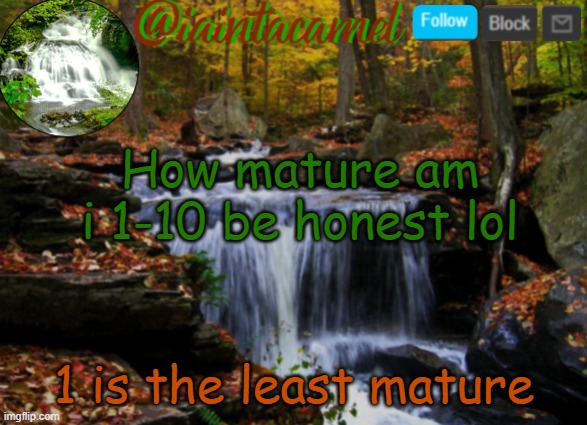 iaintacamel | How mature am i 1-10 be honest lol; 1 is the least mature | image tagged in iaintacamel | made w/ Imgflip meme maker