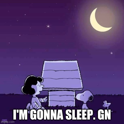 Good night  | I'M GONNA SLEEP. GN | image tagged in good night | made w/ Imgflip meme maker