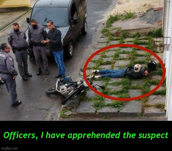 Book Him Cat-o | Officers, I have apprehended the suspect | image tagged in funny cat memes | made w/ Imgflip meme maker