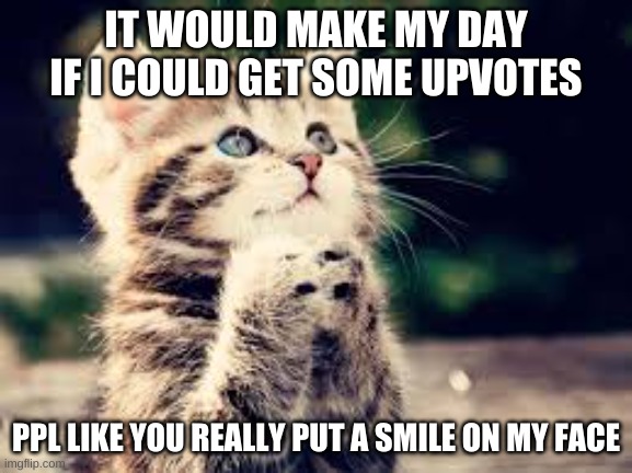 plz cat | IT WOULD MAKE MY DAY IF I COULD GET SOME UPVOTES PPL LIKE YOU REALLY PUT A SMILE ON MY FACE | image tagged in plz cat | made w/ Imgflip meme maker