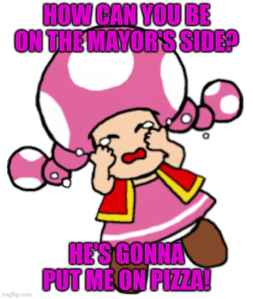 HOW CAN YOU BE ON THE MAYOR'S SIDE? HE'S GONNA PUT ME ON PIZZA! | made w/ Imgflip meme maker