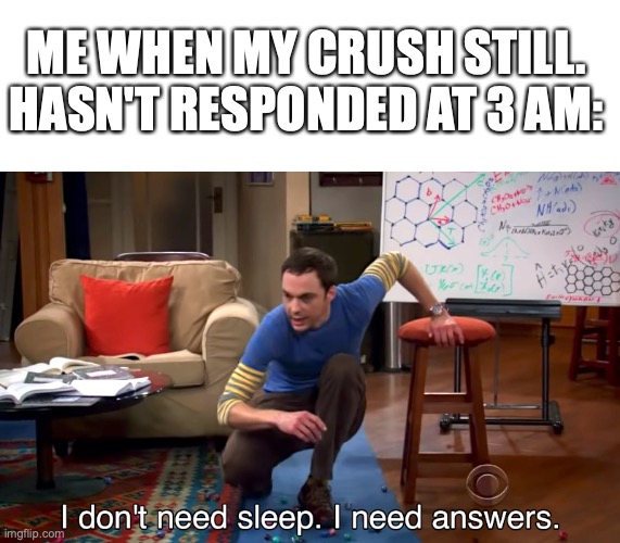 When my crush still hasn't responded | ME WHEN MY CRUSH STILL. HASN'T RESPONDED AT 3 AM: | image tagged in i don't need sleep i need answers,crush,school,rejection,oof | made w/ Imgflip meme maker
