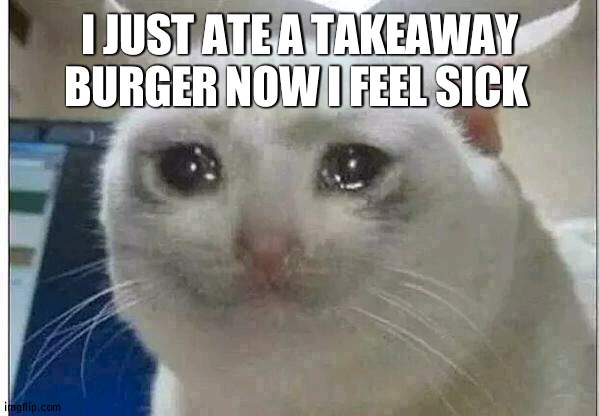 WHAT TF DO I DO | I JUST ATE A TAKEAWAY BURGER NOW I FEEL SICK | image tagged in crying cat | made w/ Imgflip meme maker