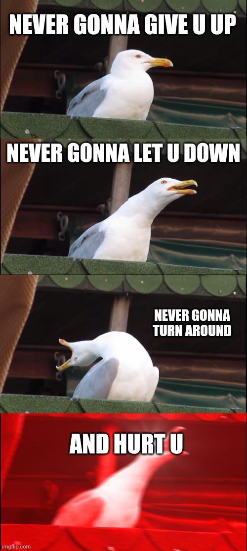 Inhaling Seagull | NEVER GONNA GIVE U UP; NEVER GONNA LET U DOWN; NEVER GONNA TURN AROUND; AND HURT U | image tagged in memes,inhaling seagull | made w/ Imgflip meme maker