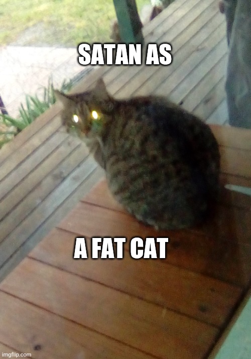 Satan in disguise | SATAN AS; A FAT CAT | image tagged in funny | made w/ Imgflip meme maker