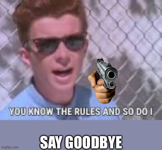 You know the rules and so do I | SAY GOODBYE | image tagged in you know the rules and so do i | made w/ Imgflip meme maker