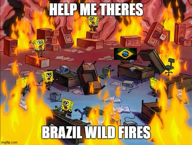 spongebob fire | HELP ME THERES; BRAZIL WILD FIRES | image tagged in spongebob fire,brazil,fire,wild,tiger week 2018 | made w/ Imgflip meme maker