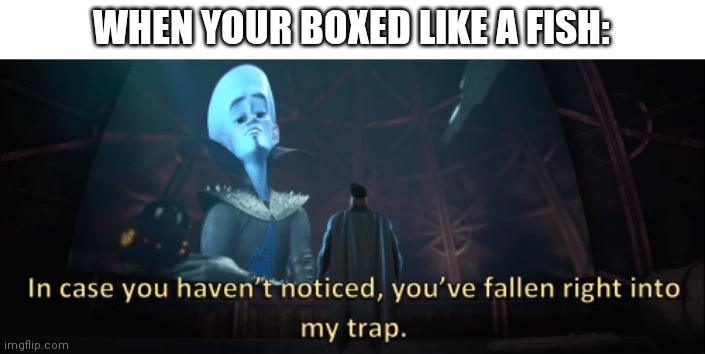 literally dogwater | WHEN YOUR BOXED LIKE A FISH: | image tagged in megamind trap template | made w/ Imgflip meme maker