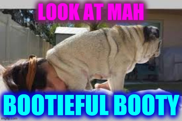 Im bootieful | LOOK AT MAH; BOOTIEFUL BOOTY | image tagged in funny memes | made w/ Imgflip meme maker