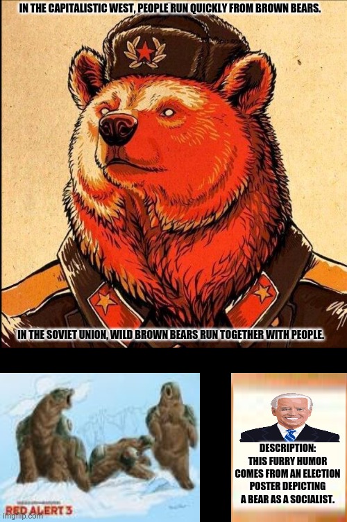 Soviet bear | IN THE CAPITALISTIC WEST, PEOPLE RUN QUICKLY FROM BROWN BEARS. IN THE SOVIET UNION, WILD BROWN BEARS RUN TOGETHER WITH PEOPLE. DESCRIPTION: THIS FURRY HUMOR COMES FROM AN ELECTION POSTER DEPICTING A BEAR AS A SOCIALIST. | image tagged in memes,teddy bear,soviet union | made w/ Imgflip meme maker