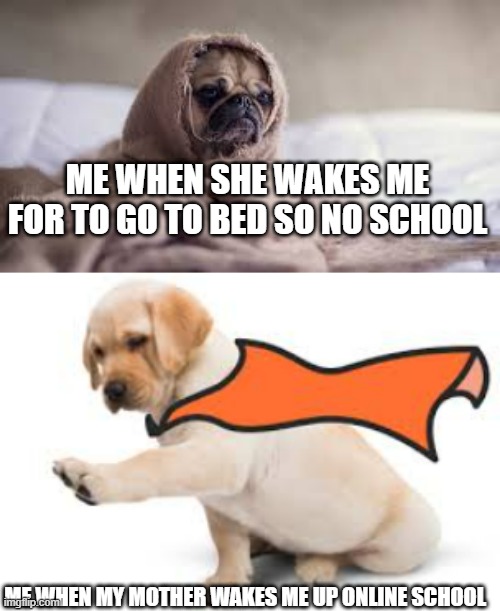 Nerds morning routine | ME WHEN SHE WAKES ME FOR TO GO TO BED SO NO SCHOOL; ME WHEN MY MOTHER WAKES ME UP ONLINE SCHOOL | image tagged in funny memes | made w/ Imgflip meme maker