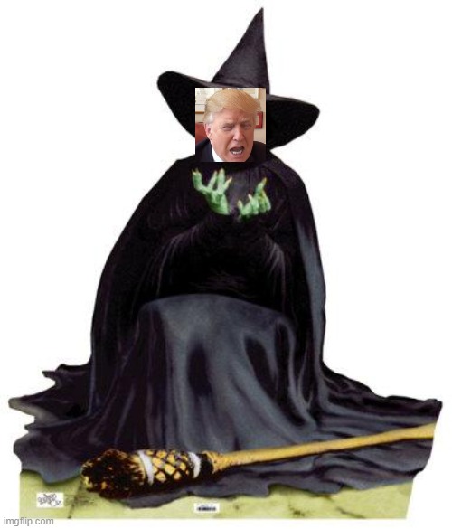 No title needed | image tagged in wizard of oz melting,scumbag,liar,traitor,maga,memes | made w/ Imgflip meme maker