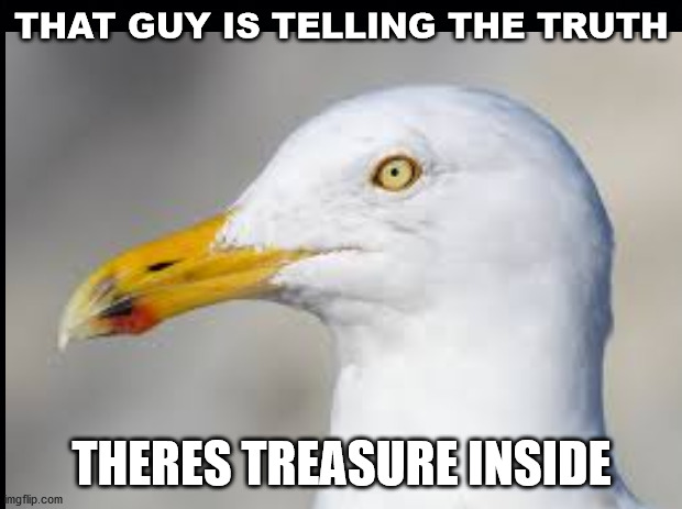 THAT GUY IS TELLING THE TRUTH THERES TREASURE INSIDE | made w/ Imgflip meme maker