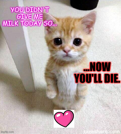 Cute-lovely-murderous-tirant cat. <3 | YOU DIDN'T GIVE ME MILK TODAY SO... ...NOW YOU'LL DIE. | image tagged in memes,cute cat,milk,funny,warning killer cat,puss in boots | made w/ Imgflip meme maker