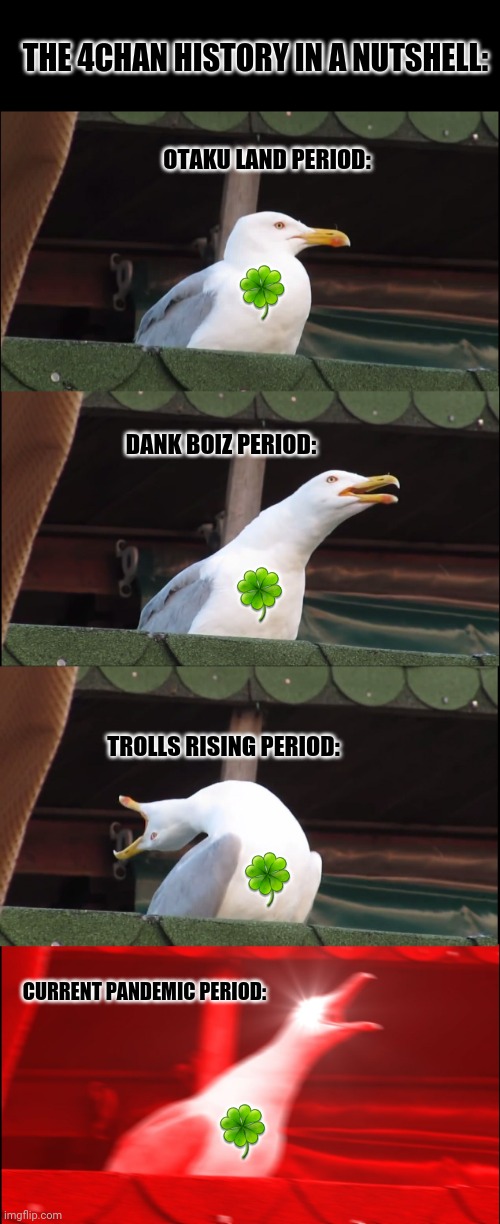 Inhaling Seagull | THE 4CHAN HISTORY IN A NUTSHELL:; OTAKU LAND PERIOD:; 🍀; DANK BOIZ PERIOD:; 🍀; TROLLS RISING PERIOD:; 🍀; CURRENT PANDEMIC PERIOD:; 🍀 | image tagged in memes,inhaling seagull,anonymous | made w/ Imgflip meme maker