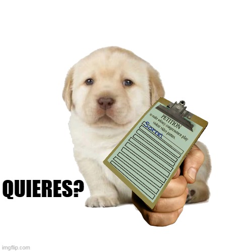 quieres dogga wants you to sign his petition | QUIERES? | image tagged in memes,funny,postal,quieres | made w/ Imgflip meme maker