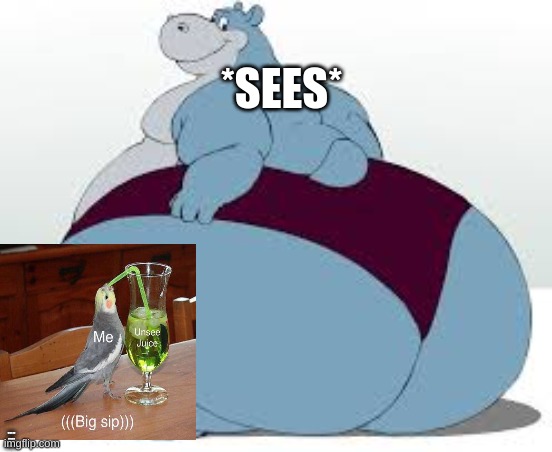 god please help | *SEES*; UNSEE JUICE I NEED YOU | image tagged in hippo,unsee juice,memes | made w/ Imgflip meme maker