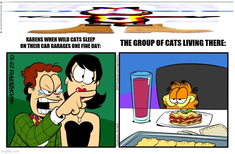 John Yelling At Garfield | KARENS WHEN WILD CATS SLEEP ON THEIR CAR GARAGES ONE FINE DAY:; THE GROUP OF CATS LIVING THERE: | image tagged in memes,lady yelling at cat,garfield | made w/ Imgflip meme maker