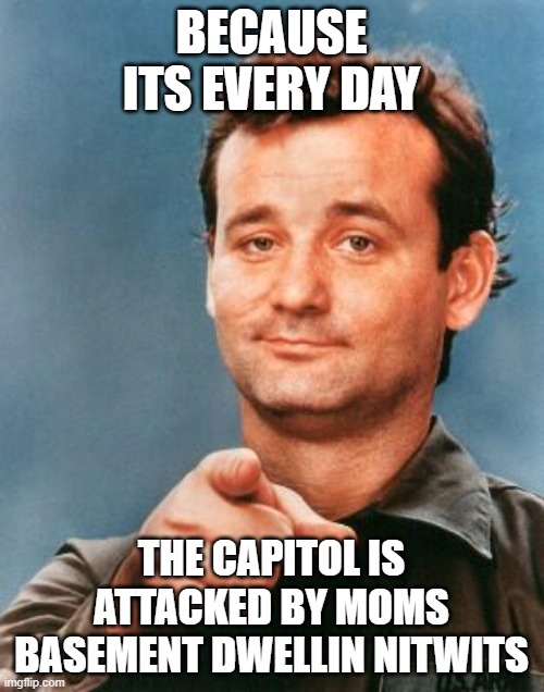 Bill Murray You're Awesome | BECAUSE ITS EVERY DAY THE CAPITOL IS ATTACKED BY MOMS BASEMENT DWELLIN NITWITS | image tagged in bill murray you're awesome | made w/ Imgflip meme maker