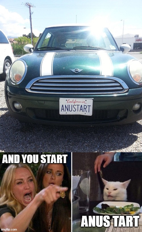AND YOU START; ANUS TART | image tagged in woman yelling at white cat | made w/ Imgflip meme maker