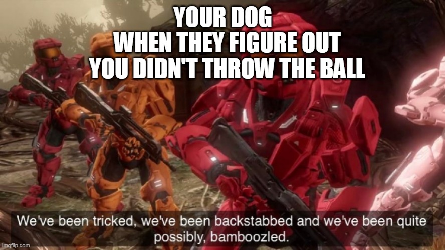 We've been tricked | YOUR DOG; WHEN THEY FIGURE OUT YOU DIDN'T THROW THE BALL | image tagged in we've been tricked | made w/ Imgflip meme maker