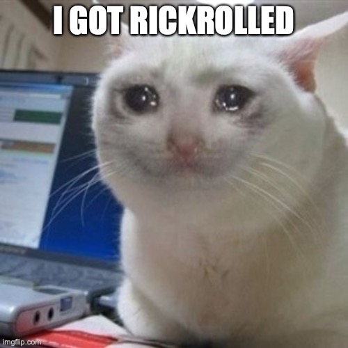 Crying cat | I GOT RICKROLLED | image tagged in crying cat | made w/ Imgflip meme maker