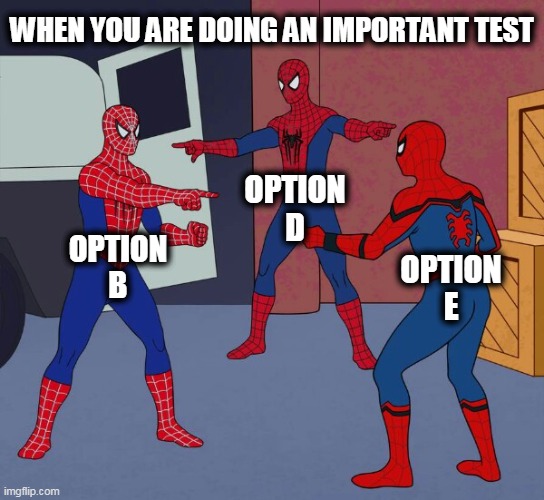Spider Man Triple | WHEN YOU ARE DOING AN IMPORTANT TEST; OPTION D; OPTION B; OPTION E | image tagged in spider man triple | made w/ Imgflip meme maker