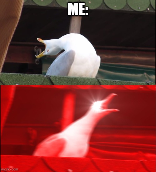 Screaming bird | ME: | image tagged in screaming bird | made w/ Imgflip meme maker