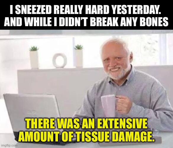 Sneeze | I SNEEZED REALLY HARD YESTERDAY.  AND WHILE I DIDN’T BREAK ANY BONES; THERE WAS AN EXTENSIVE AMOUNT OF TISSUE DAMAGE. | image tagged in harold | made w/ Imgflip meme maker