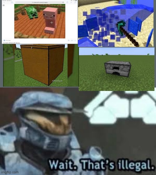 This is the point where the FBI gets involved | image tagged in wait thats illegal,minecraft,cursed image | made w/ Imgflip meme maker